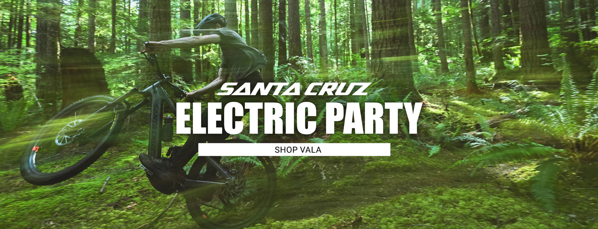 Ride Without Limits Since 1986